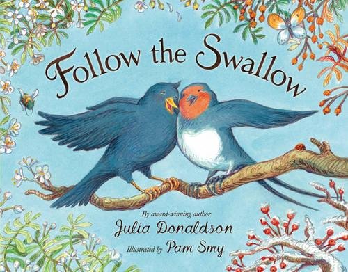 Follow the Swallow book cover