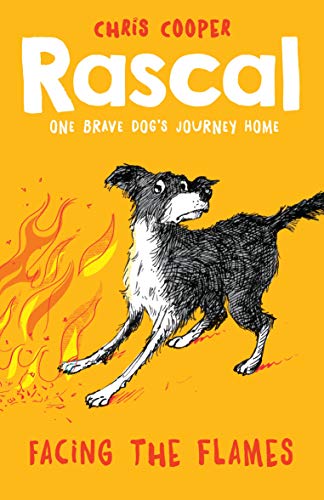 Facing the Flames book cover