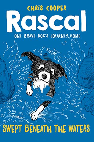 Swept Beneath the Waters book cover