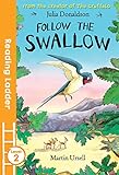 Follow The Swallow