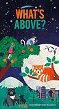 Amazon cover image