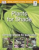 Plants For Shade Simple Steps To Success