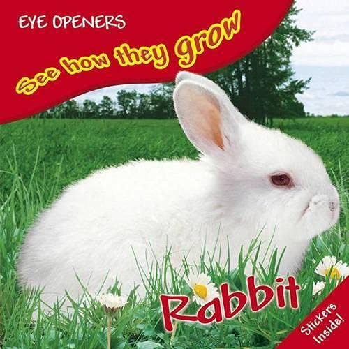 Cover of Bunny
