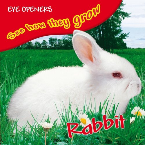 Cover of Bunny