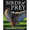 Birds of Prey