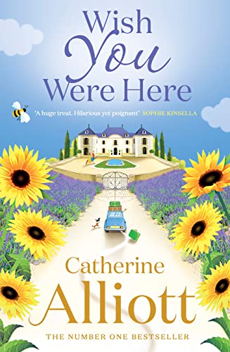 Wish You Were Here book cover