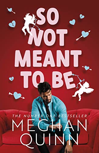 So Not Meant to Be book cover