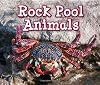 Rock Pool Animals (Acorn: Animals in Their Habitats)
