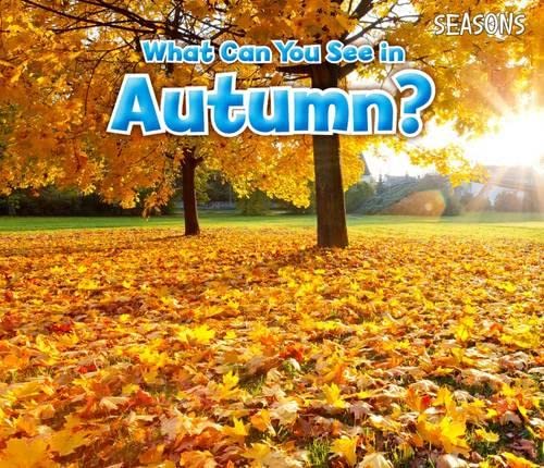 Cover of Fall