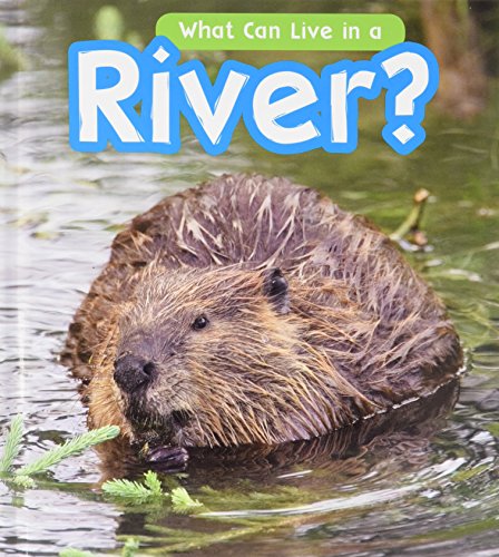 Cover of What Can Live in a River?