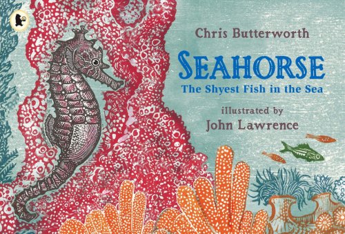 Cover of Seahorse