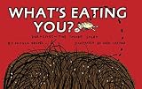 Amazon cover image
