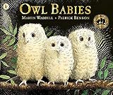 Amazon cover image