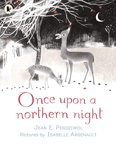 Cover of Once upon a Northern Night