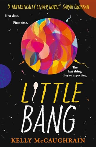 Little Bang book cover