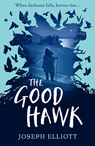 Cover of Good Hawk (Shadow Skye, Book One)