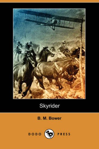 Skyrider book cover