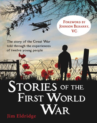 Stories of the First World War book cover