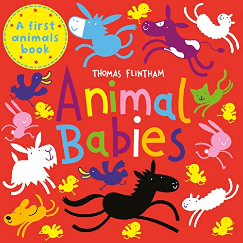 Cover of Animal Babies