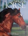 The Magnificent Horse (Coffee Table)