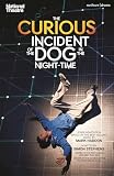 The Curious Incident Of The Dog In The Nighttime Modern Plays