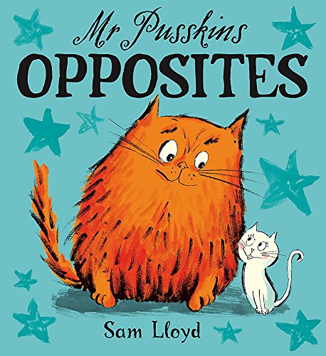 Mr. Pusskins Opposites book cover
