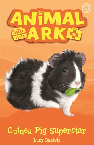 Guinea Pig Superstar book cover