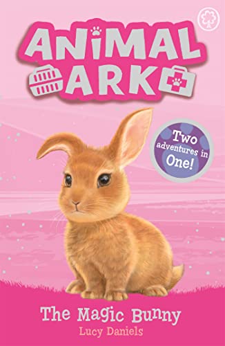 The Magic Bunny book cover