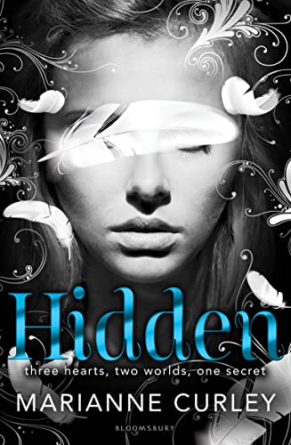 Hidden book cover