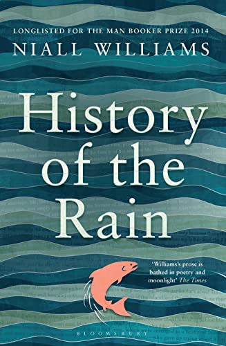 History of the Rain book cover