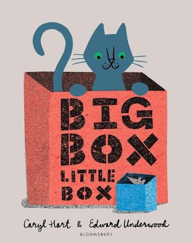 Cover of Big Box Little Box