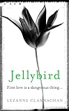 Amazon cover image