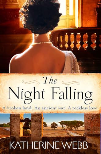 The Night Falling book cover