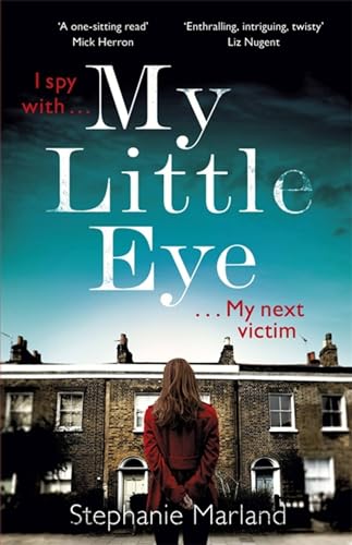 My Little Eye book cover