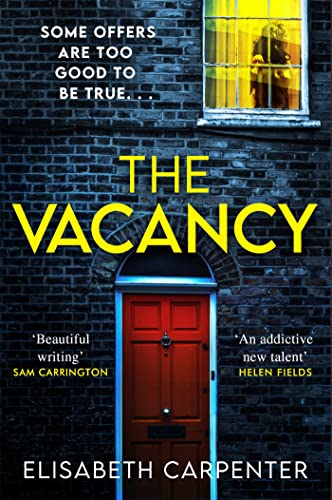 The Vacancy book cover