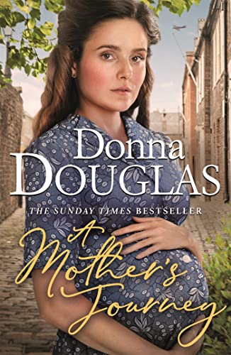 A Mother's Journey book cover