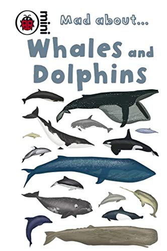 Mad About... Whales and Dolphins (With: Anita Ganeri) cover