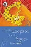 Amazon cover image
