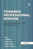 Towards Professional Wisdom