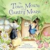 The Town Mouse and the Country Mouse (Usborne Picture Book Classics)