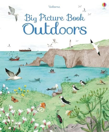 Big Picture Book Outdoors (By: Minna Lacey) cover