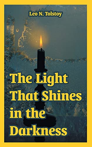 The Light That Shines in the Darkness book cover