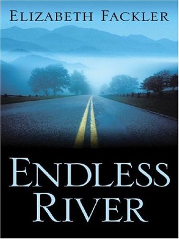 Endless River book cover