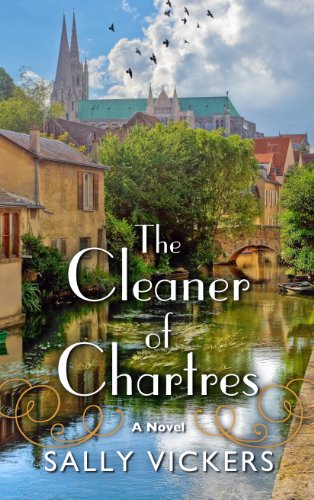 The Cleaner of Chartres book cover