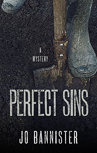 Perfect Sins book cover