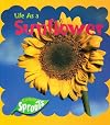 Life As a Sunflower