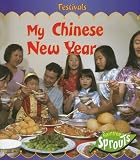 My Chinese New Year Festivals