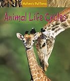 Amazon cover image