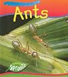 Ants (Raintree Sprouts: Creepy Creatures)