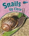 Snails Up Close (Raintree Perspectives: Minibeasts Up Close)